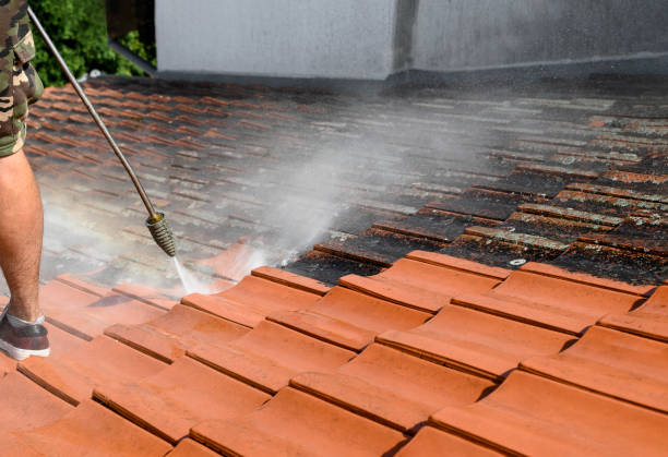  Ddanelle, AR Pressure Washing Pros
