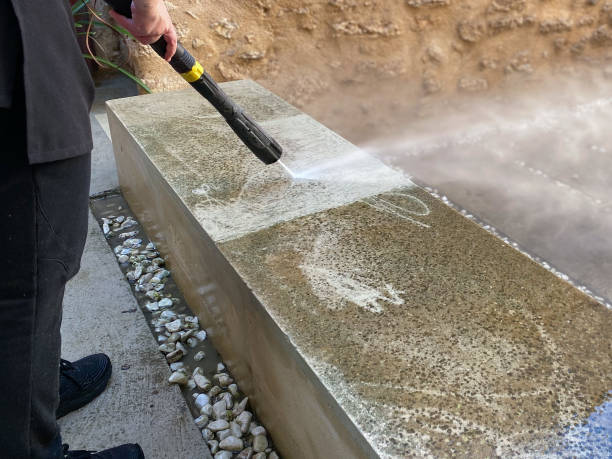 Best Roof Power Washing Services  in Ddanelle, AR