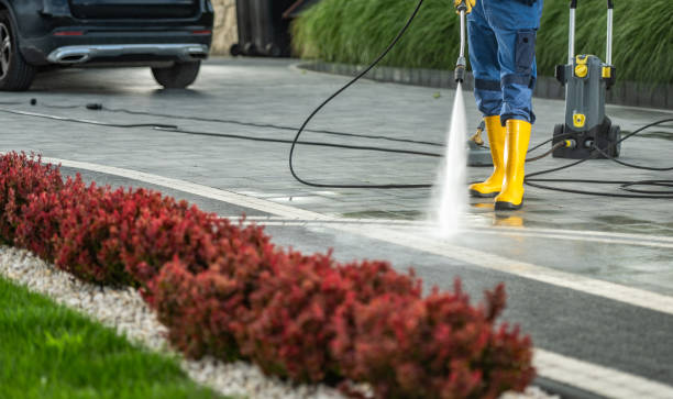Best Best Pressure Washing Companies  in Ddanelle, AR