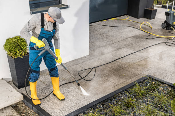 Best Exterior Home Cleaning  in Ddanelle, AR