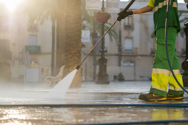 Best Roof Pressure Washing  in Ddanelle, AR