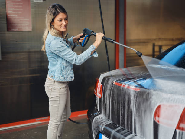Best House Pressure Washing  in Ddanelle, AR