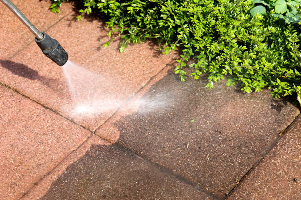 Best Best Pressure Washing Companies  in Ddanelle, AR