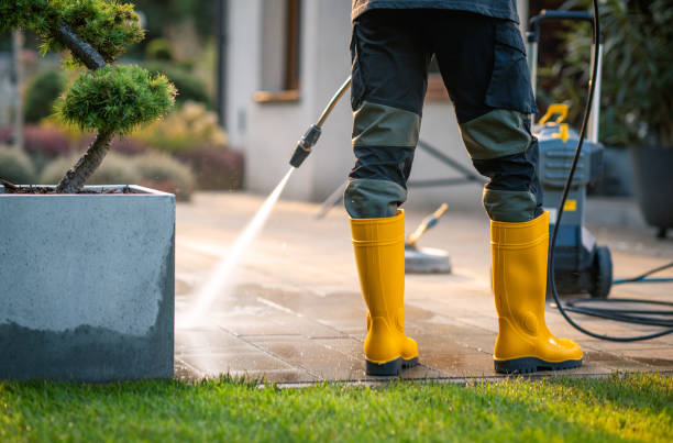 Best Sidewalk Pressure Washing  in Ddanelle, AR